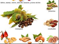 Imagier pour apprendre les noms des fruits exotiques