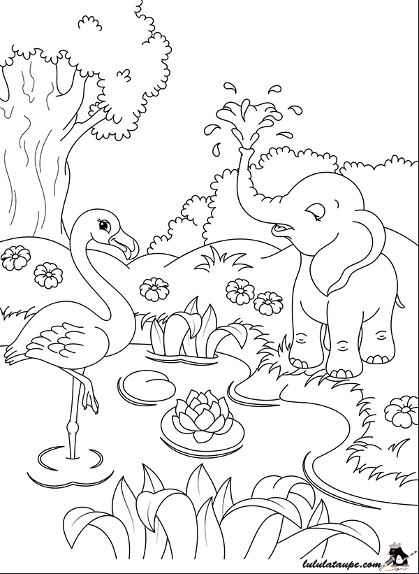 Dessin à colorier, des animaux au bord de l'eau