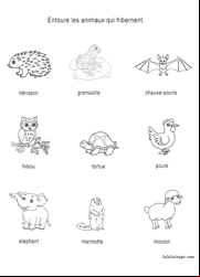 Exercice ludique à imprimer, les animaux qui hibernent