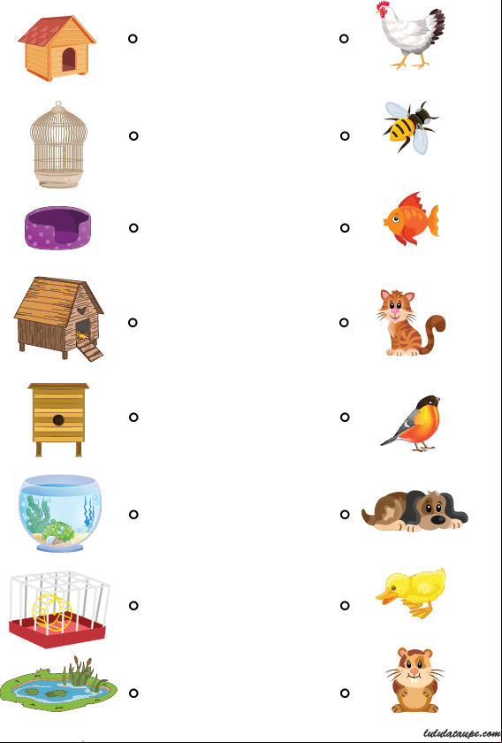 Chacun chez soi, jeu éducatif pour enfants de 4 ans et plus