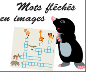 Mots fléchés en image
